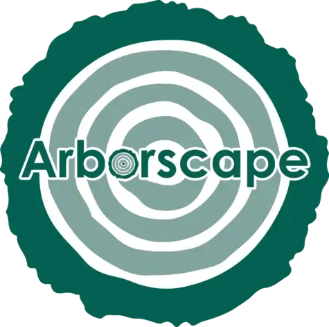 Professional Grounds Maintenance Services Cumbria – Trusted Experts at Arborscape UK