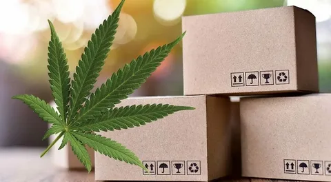 Custom Hemp Gift Boxes for Stylish Packaging