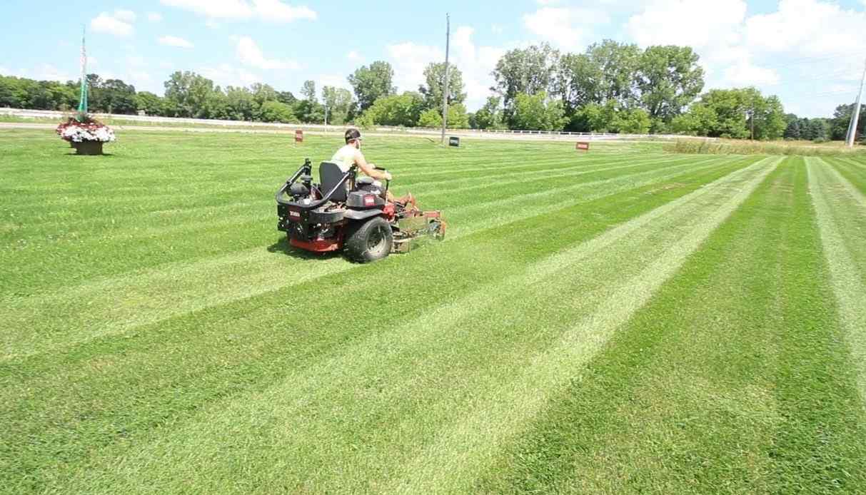 The Importance of Professional Lawn Care for a Healthy and Clean Yard