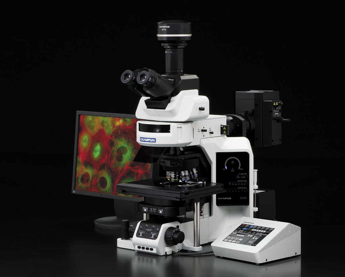 Evident BX63 Microscope: High-Performance Imaging for Advanced Scientific Research